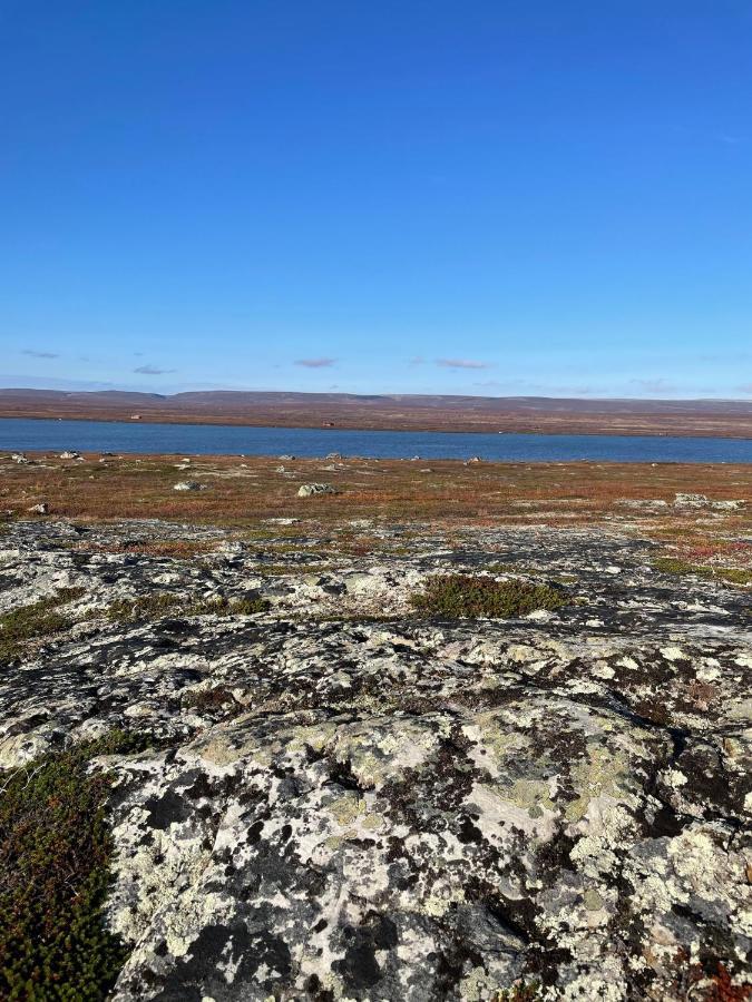 Ekkeroy Lodge - Arctic Living Vadsø Eksteriør bilde